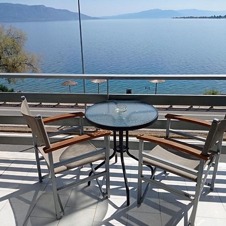 奥尔加酒店 Agios Konstantinos  外观 照片