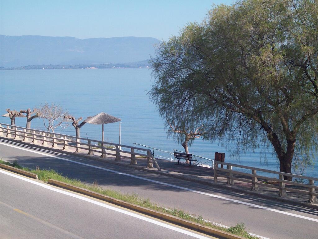 奥尔加酒店 Agios Konstantinos  外观 照片
